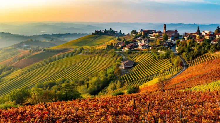 langhe northern italy self drive tour