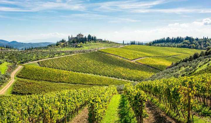 a day trip from florence italy Trails