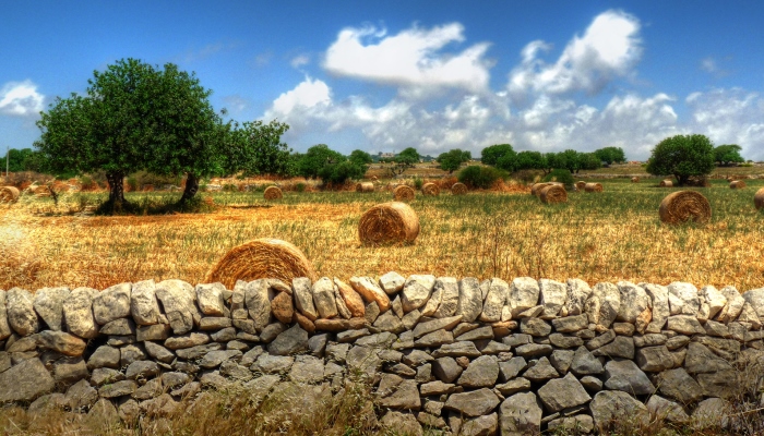 sicily tour countryside